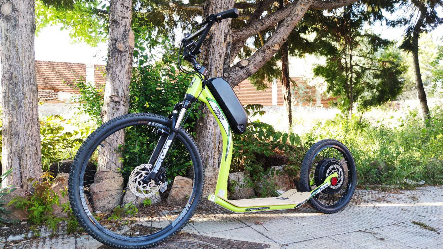 48V 1000w Front Motor Wheel Electric Bike Kit 48V E Bike Set Electric Wheel Motor Electric Bike Conversion Kit Front Hub Motor V brake