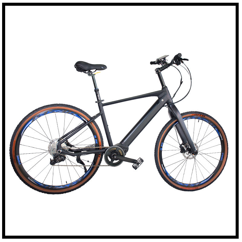 Electric Bike